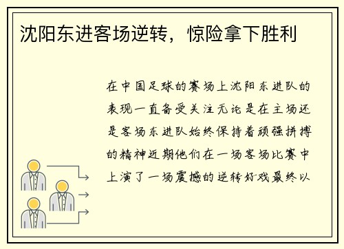 沈阳东进客场逆转，惊险拿下胜利