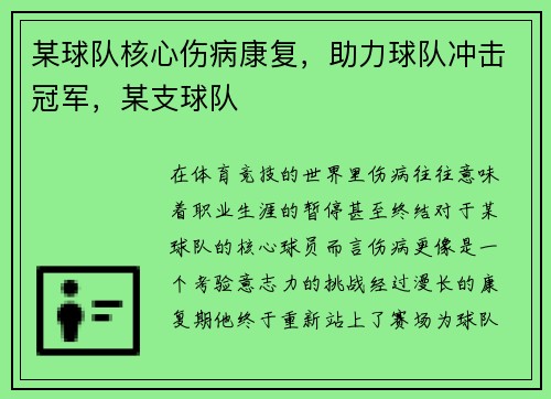 某球队核心伤病康复，助力球队冲击冠军，某支球队